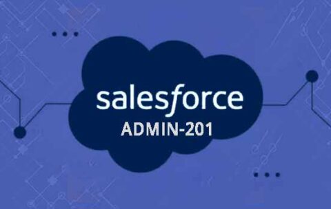 Salesforce-Admin-201